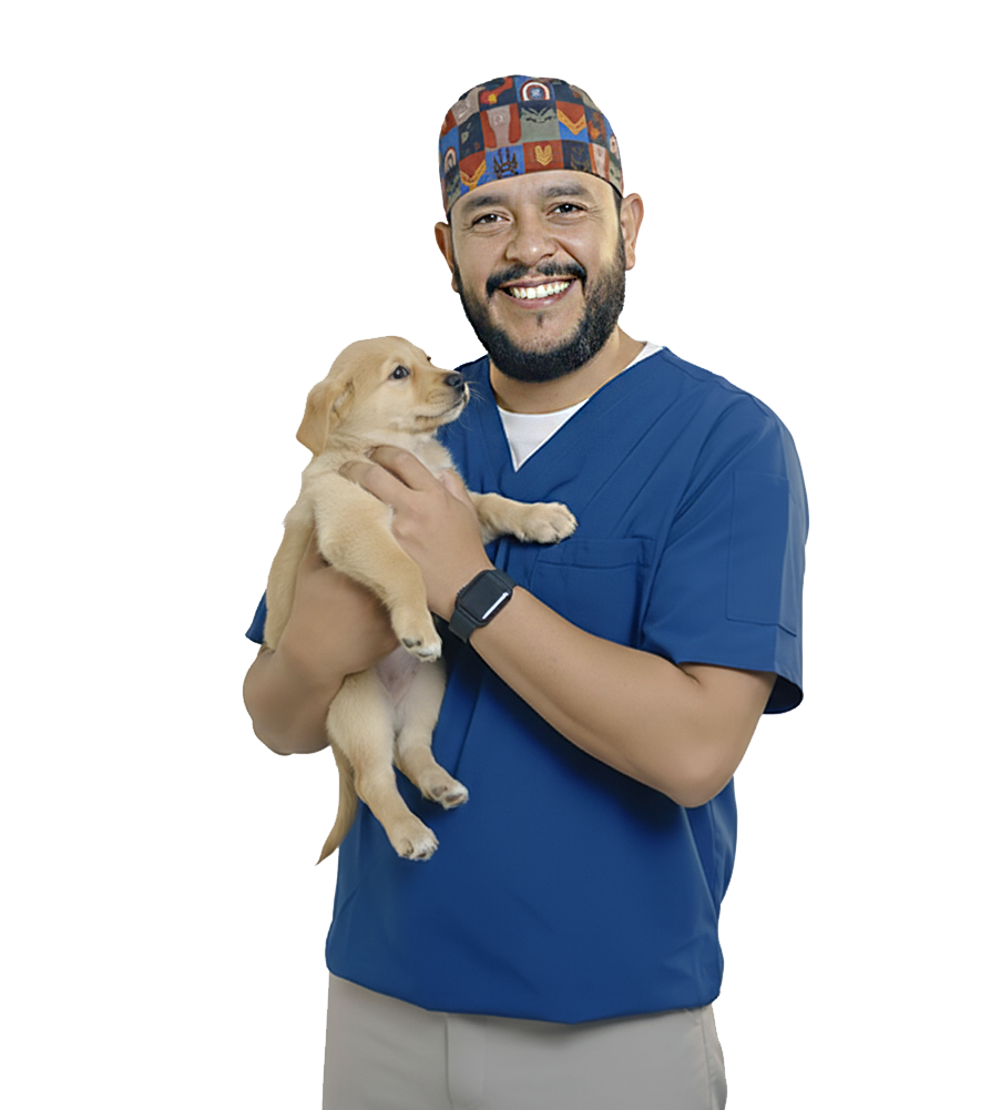 Mmmascotas Clínica Veterinaria Guayaquil Ecuador - Dr. Mauricio Jaramillo atendiendo mascotas